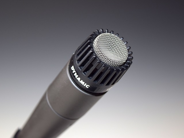 Mikrofon Test dynamisches Mikro